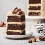 A slice of chocolate peanut butter cake on a plate with the layer cake in the background.