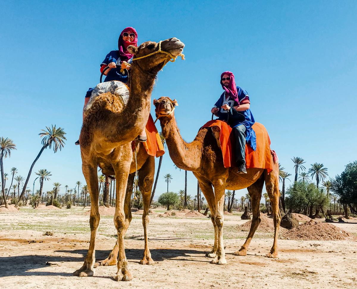 Two adults riding two camels on a dessert tour.