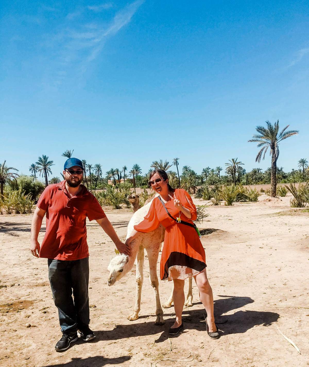 A couple petting a baby camel in Marrakech.