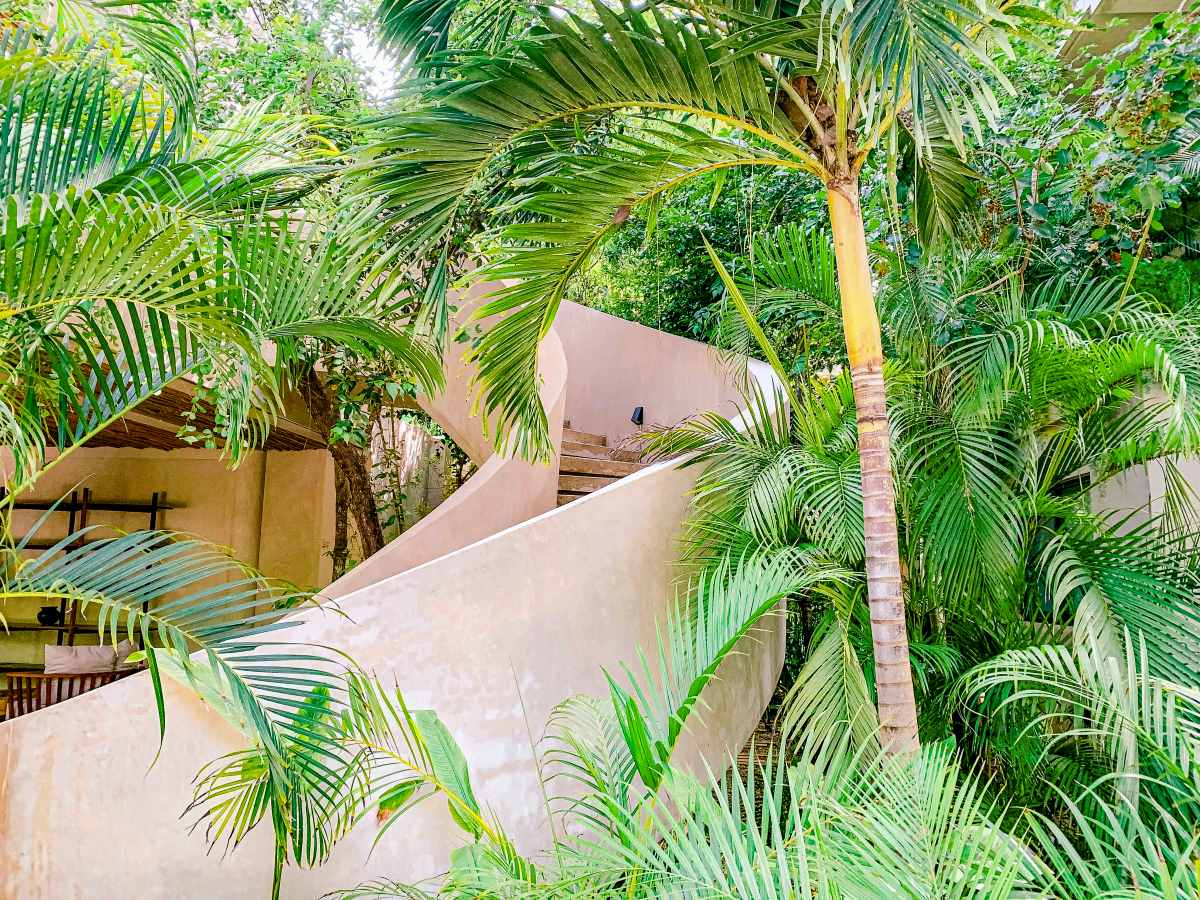 Stairs in Aldea Zama leading up surrounded by Palm Trees.