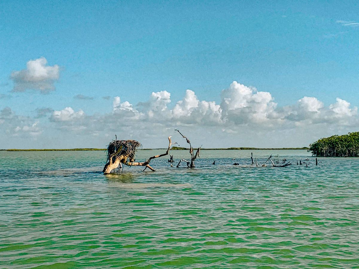 The Sian Kaan Biosphere tour.