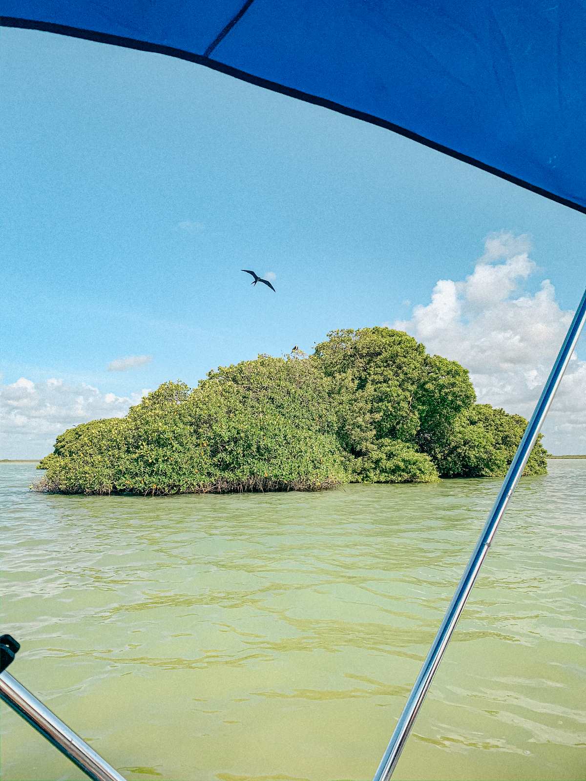 A green island view off the boat at the Sian Kaan Biosphere.